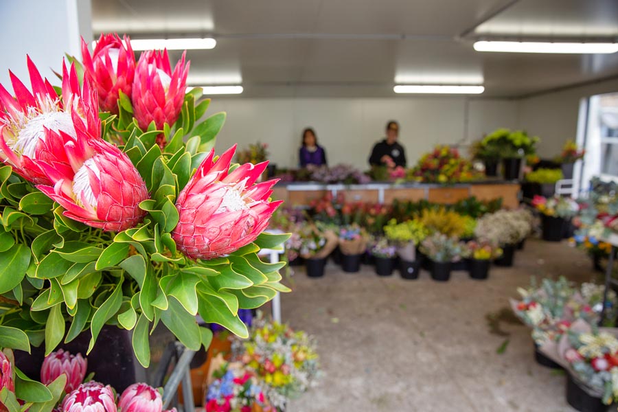 Sydney's freshest flowers - Captains Shop