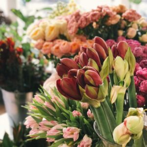 Florist Choice ($50)